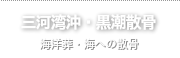 三河湾沖・黒潮散骨